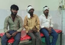 पेड़ उखाड़ने को लेकर पारिवारिक विवाद खूनी झड़प में बदला, दंपती लहूलुहान; अलापुर पुलिस जांच में जुटी